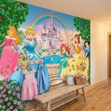 Wall Murals: Princesses and Disney Castle 15