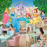 Wall Murals: Princesses and Disney Castle 16