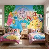 Wall Murals: Princesses and Disney Castle 4
