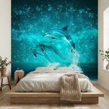 Wall Murals: Dolphins and constellations 11