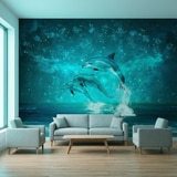 Wall Murals: Dolphins and constellations 12