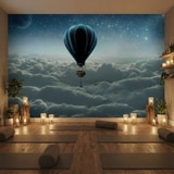 Wall Murals: Sunrise hot air balloon 9