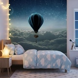 Wall Murals: Sunrise hot air balloon 10