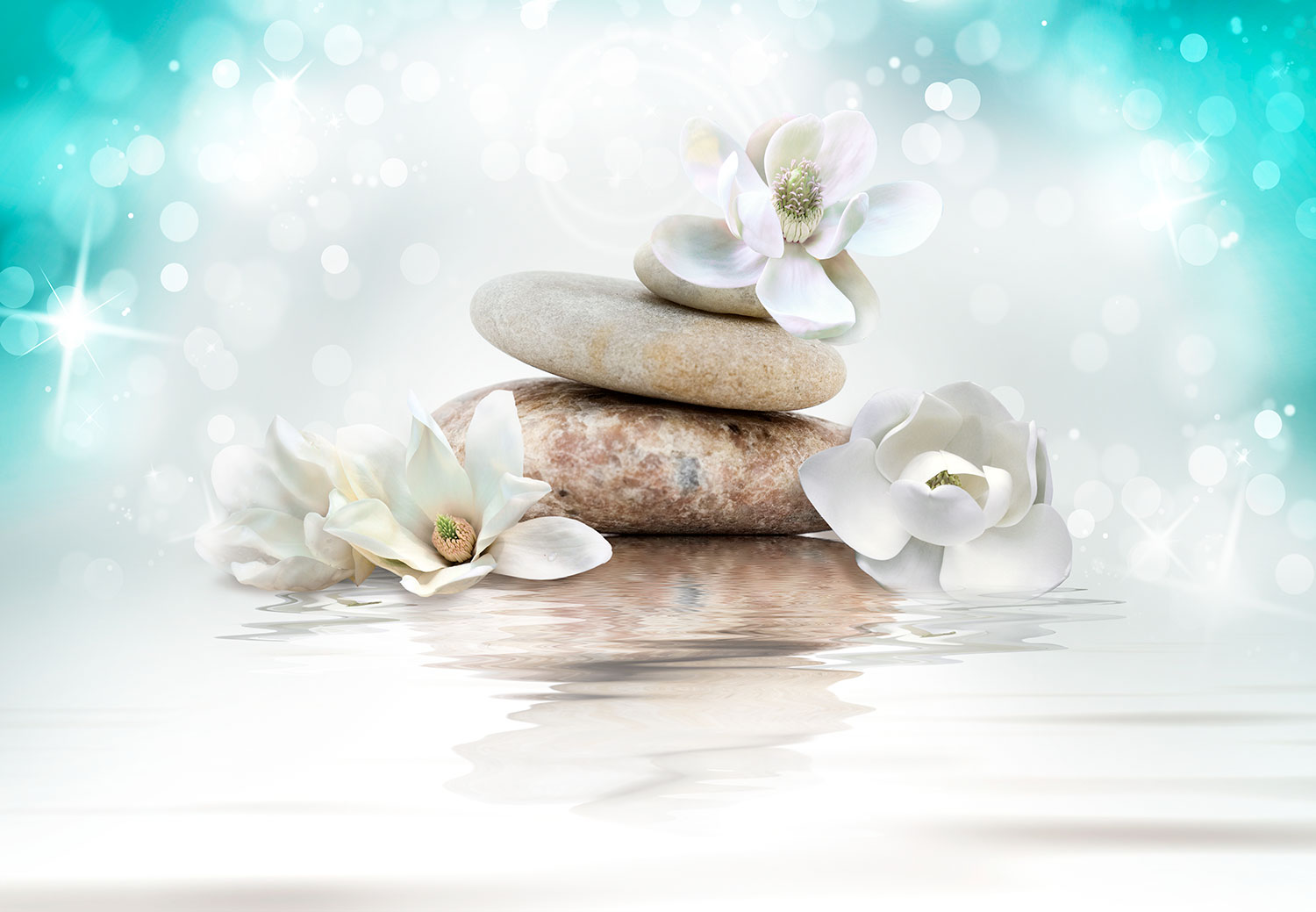 Wall Murals: Zen Awakening