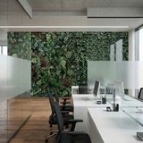 Wall Murals: Vegetation wall 10
