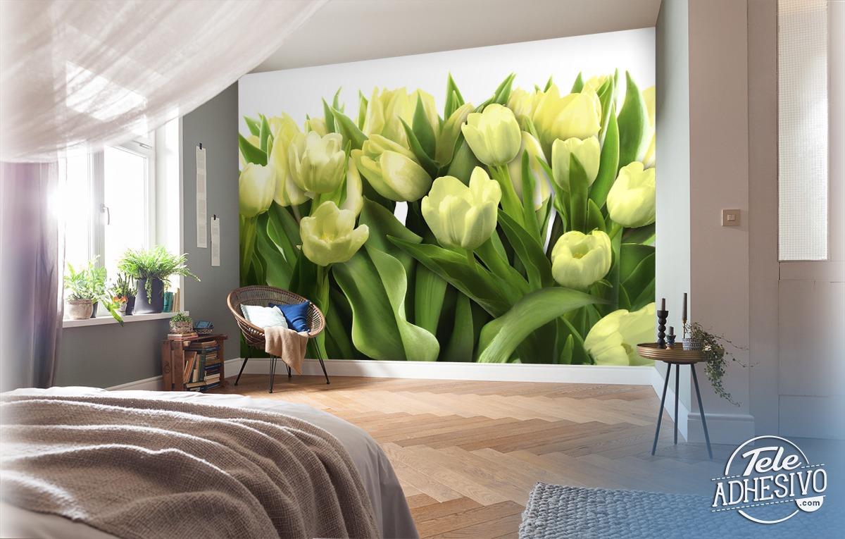 Wall Murals: Yellow tulips