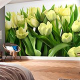 Wall Murals: Yellow tulips 2