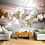 Wall Murals: Deluxe Orchids 2