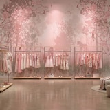 Wall Murals: Unicorn in the forest  5