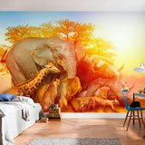 Wall Murals: Animals of the savannah 2