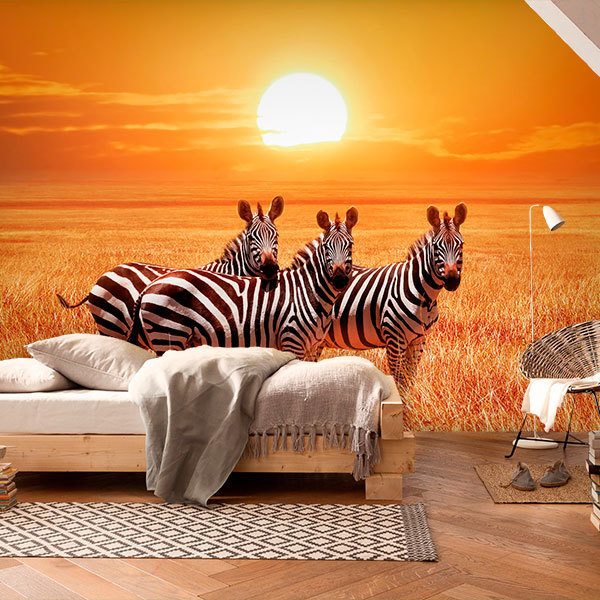 Wall Murals: Zebras in a sunset 0