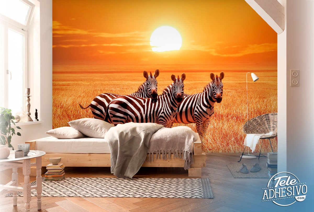 Wall Murals: Zebras in a sunset