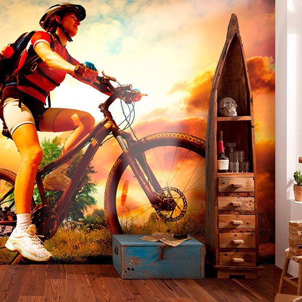 Wall Murals: Cyclist Mountain Bike Rider 0