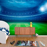 Wall Murals: Soccer field 2