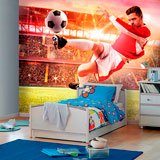 Wall Murals: Spectacular finish 2