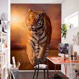 Wall Murals: Tiger 2