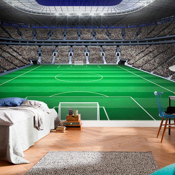 Wall Murals: Football field