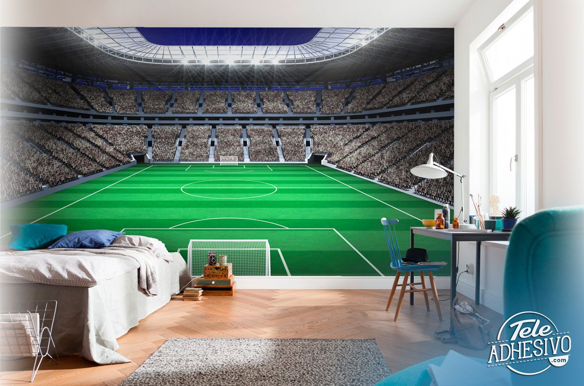 Wall Murals: Football field