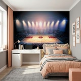 Wall Murals: Basketball court 12
