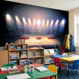 Wall Murals: Basketball court 16