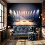 Wall Murals: Basketball court 10