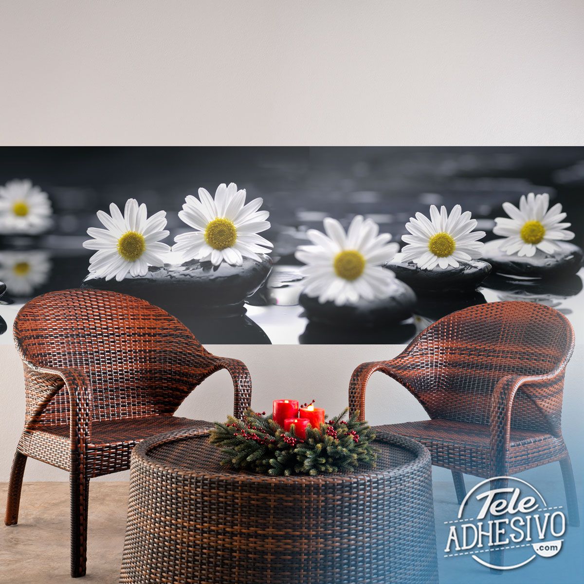 Wall Murals: Daisies on black stones