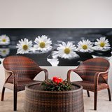 Wall Murals: Daisies on black stones 2