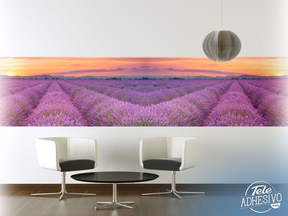Wall Murals: Lavender field at sunset
