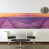 Wall Murals: Lavender field at sunset 2