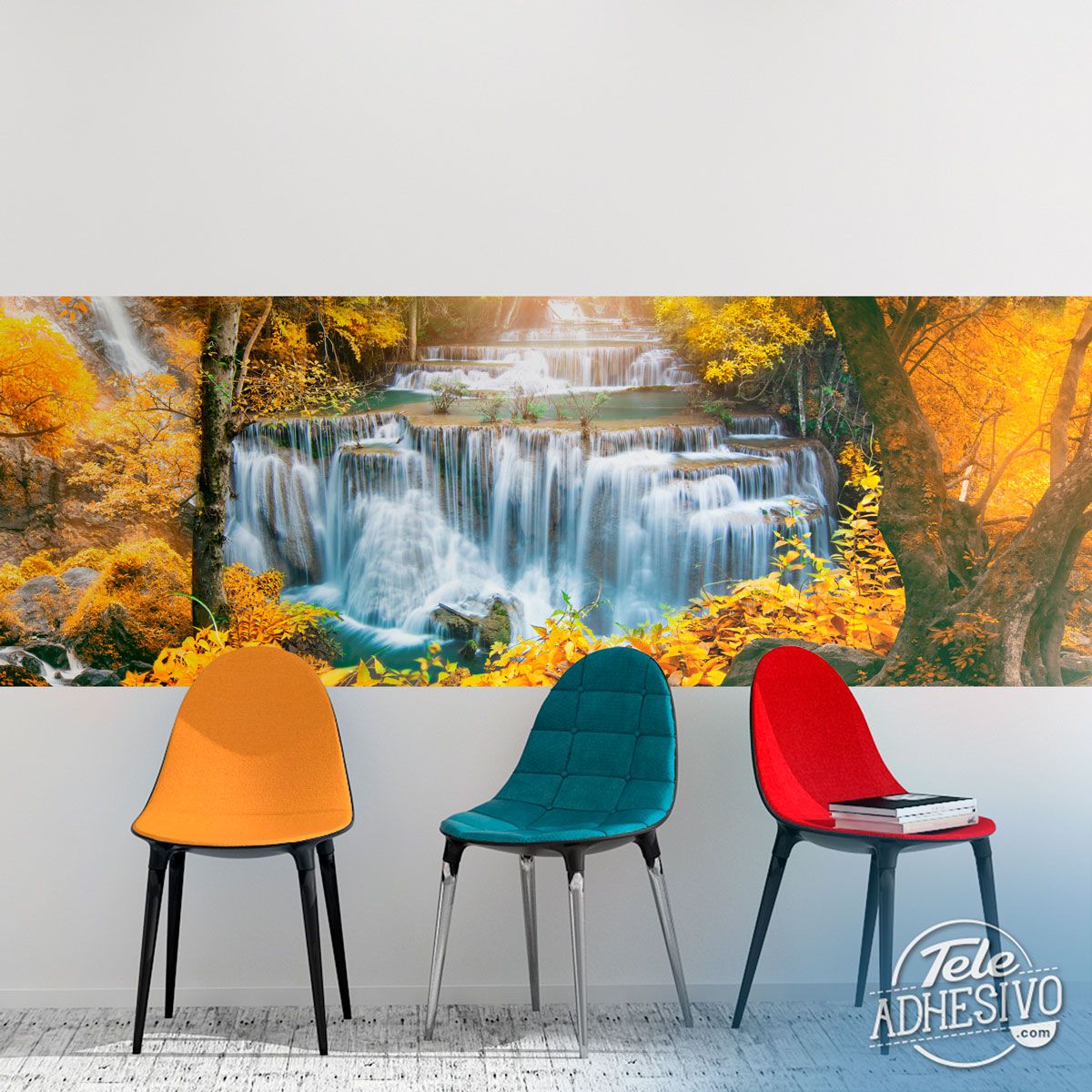 Wall Murals: Forest in autumn