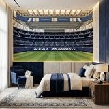 Wall Murals: Santiago Bernab&eacute;u Stadium Illustration Wall Mural 14