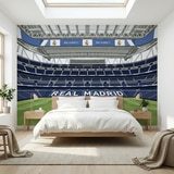 Wall Murals: Santiago Bernab&eacute;u Stadium Illustration Wall Mural 15