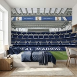 Wall Murals: Santiago Bernab&eacute;u Stadium Illustration Wall Mural 16