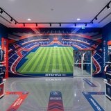 Wall Murals: Parc des Princes Stadium Paris Saint-Germain 14