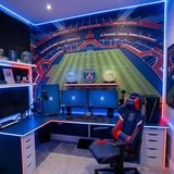 Wall Murals: Parc des Princes Stadium Paris Saint-Germain 17
