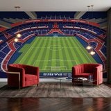 Wall Murals: Parc des Princes Stadium Paris Saint-Germain 4