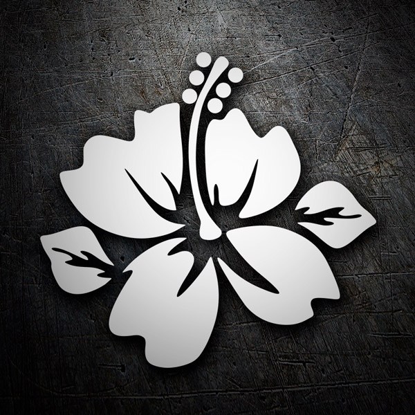 Car & Motorbike Stickers: Hawaiian Hibiscus Flower