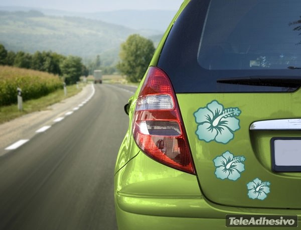 Car & Motorbike Stickers: Hawaiian flower Hibiscus
