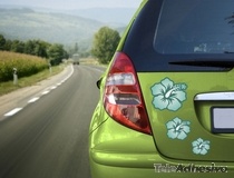 Car & Motorbike Stickers: Hawaiian flower Hibiscus 3