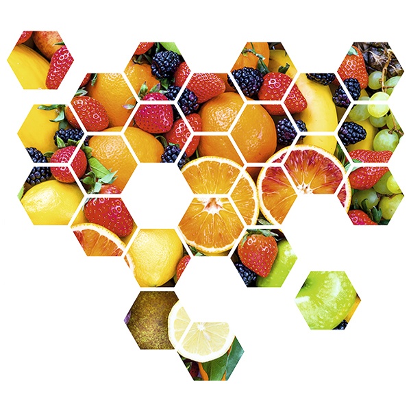 Wall Stickers: Fruit Geometric kit