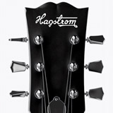 Car & Motorbike Stickers: Hagstrom 2