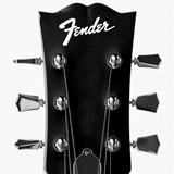 Car & Motorbike Stickers: Fender 2