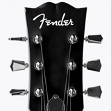 Car & Motorbike Stickers: Fender II 2