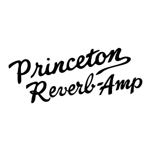 Car & Motorbike Stickers: Princeton Reverb-Amp