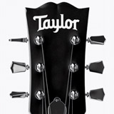 Car & Motorbike Stickers: Taylor 2