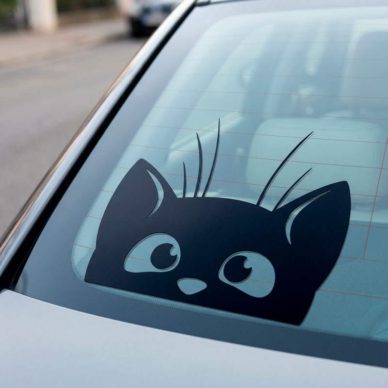 Cat Sticking Out 2