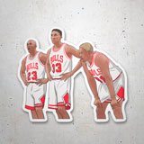 Car & Motorbike Stickers: All-Stars Chicago Bulls 3