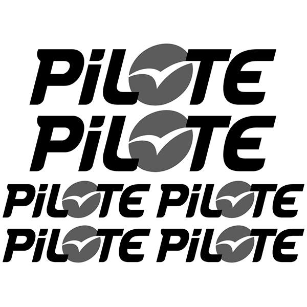 Car & Motorbike Stickers: Set Pilote