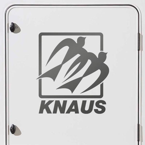 Camper van decals: Knaus