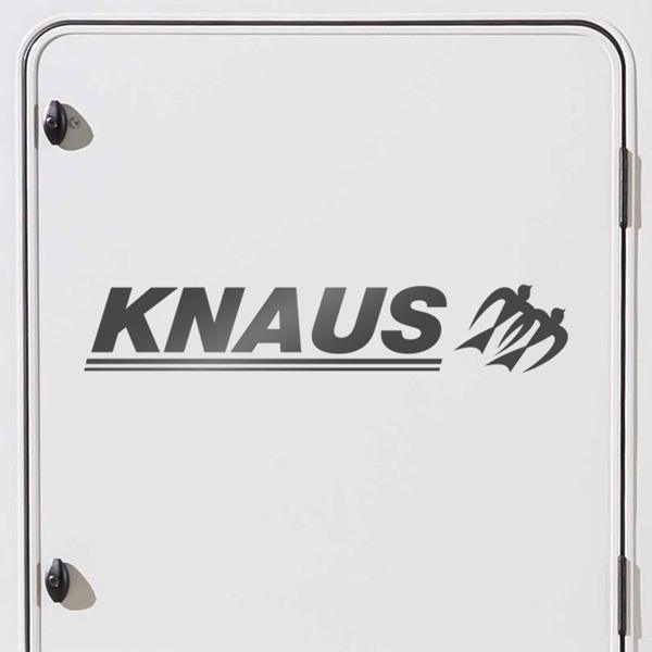 Camper van decals: Knaus Travelino